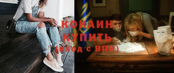 ГАЛЛЮЦИНОГЕННЫЕ ГРИБЫ Вязники
