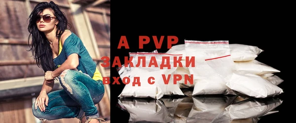 ГАЛЛЮЦИНОГЕННЫЕ ГРИБЫ Вязники