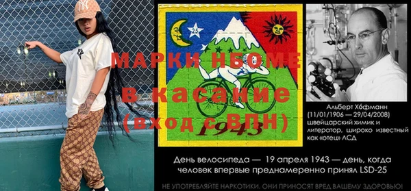 ГАЛЛЮЦИНОГЕННЫЕ ГРИБЫ Вязники