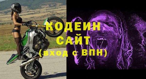 ГАЛЛЮЦИНОГЕННЫЕ ГРИБЫ Вязники