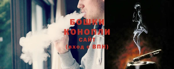 ешки Вяземский