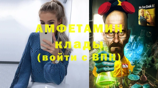 ешки Вяземский