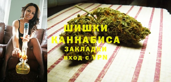 ГАЛЛЮЦИНОГЕННЫЕ ГРИБЫ Вязники