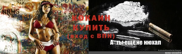 ГАЛЛЮЦИНОГЕННЫЕ ГРИБЫ Вязники