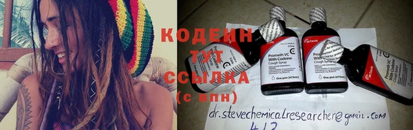 ешки Вяземский