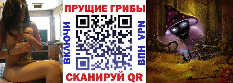 Купить где  Алушта  Псилоцибиновые грибы GOLDEN TEACHER 